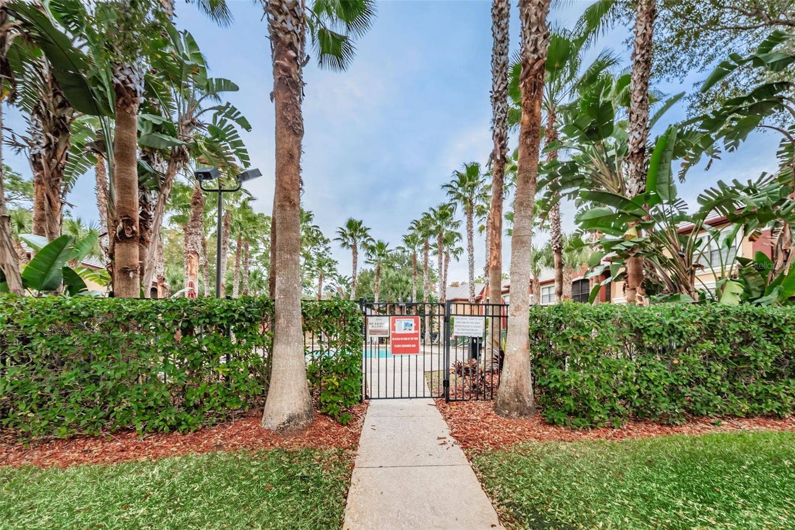 2138 CHIANTI PLACE, #142, Palm Harbor, FL 34683 2138 CHIANTI PLACE, #142, Palm Harbor, FL 34683