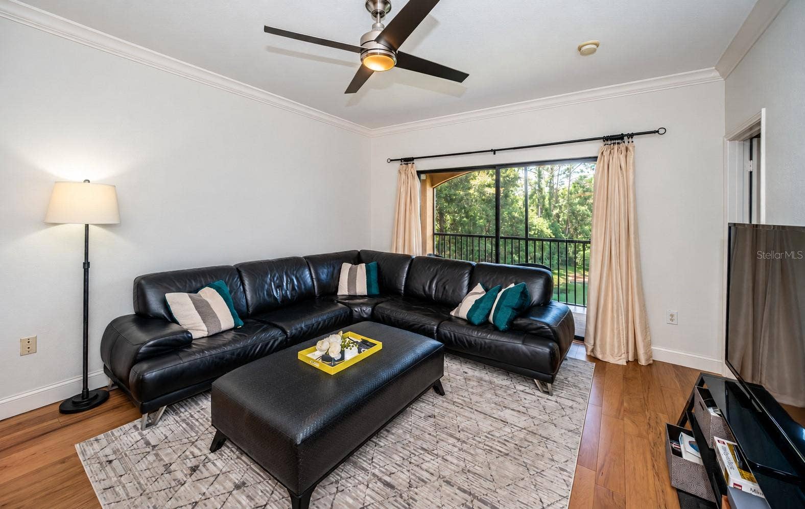 2138 CHIANTI PLACE, #142, Palm Harbor, FL 34683 2138 CHIANTI PLACE, #142, Palm Harbor, FL 34683