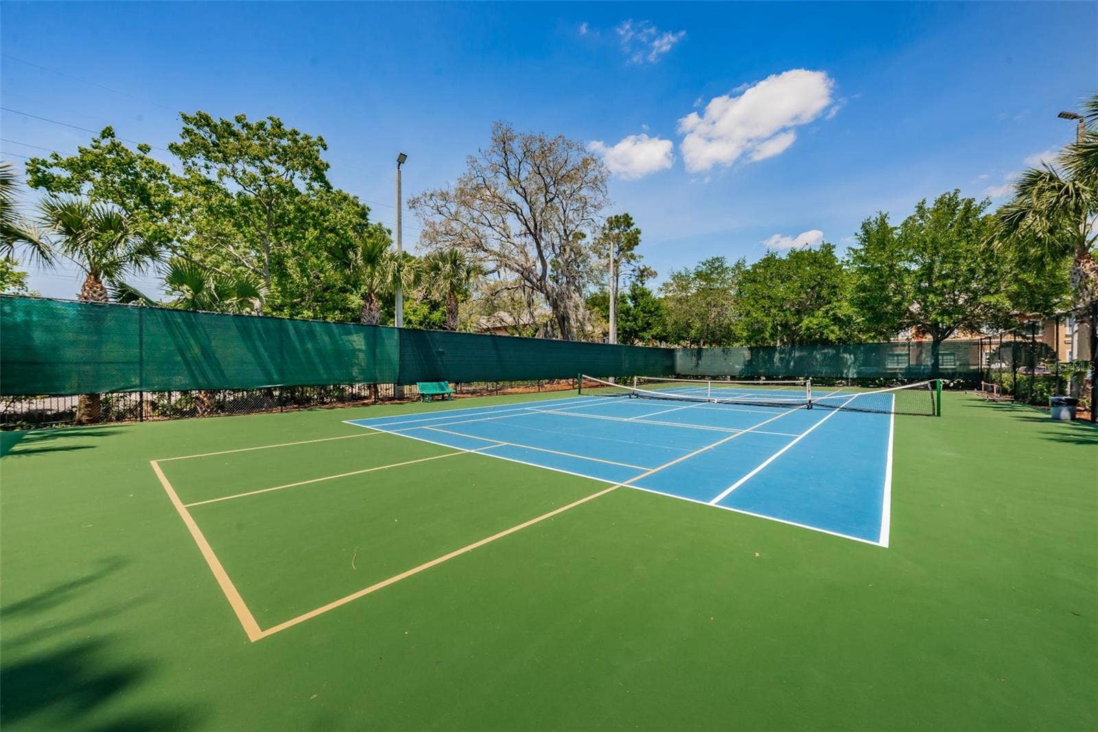 2138 CHIANTI PLACE, #142, Palm Harbor, FL 34683 2138 CHIANTI PLACE, #142, Palm Harbor, FL 34683