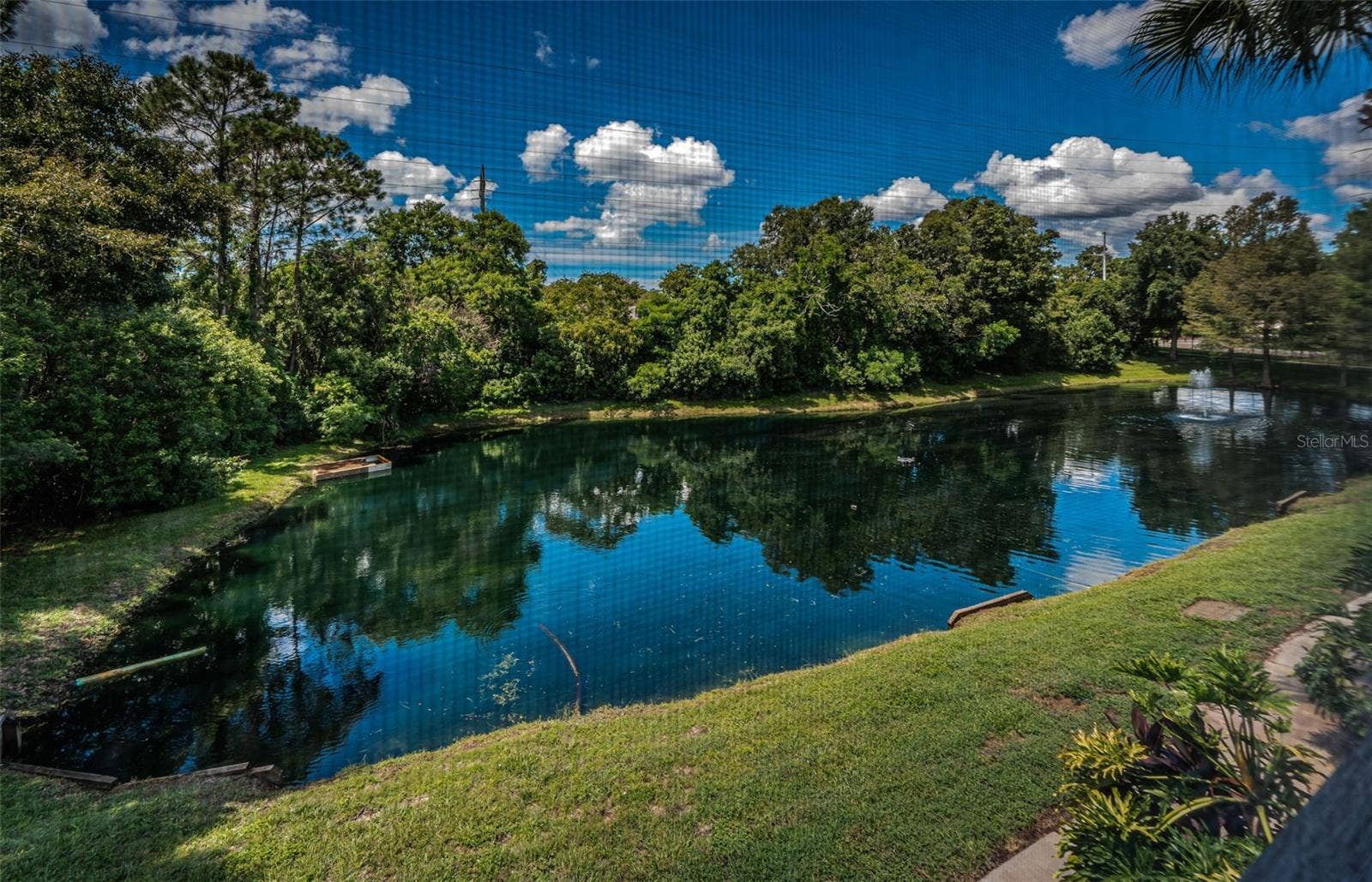 2138 CHIANTI PLACE, #142, Palm Harbor, FL 34683 2138 CHIANTI PLACE, #142, Palm Harbor, FL 34683
