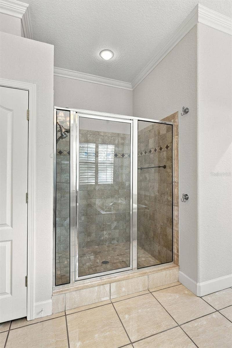 3916 VALRICO GROVE DRIVE, Valrico, FL 33594 Primary Bathroom Walk in Shower!