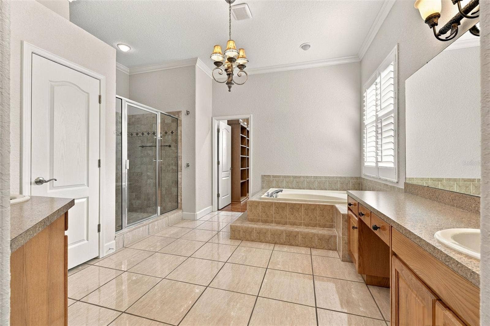 3916 VALRICO GROVE DRIVE, Valrico, FL 33594 Primary Bathroom!
