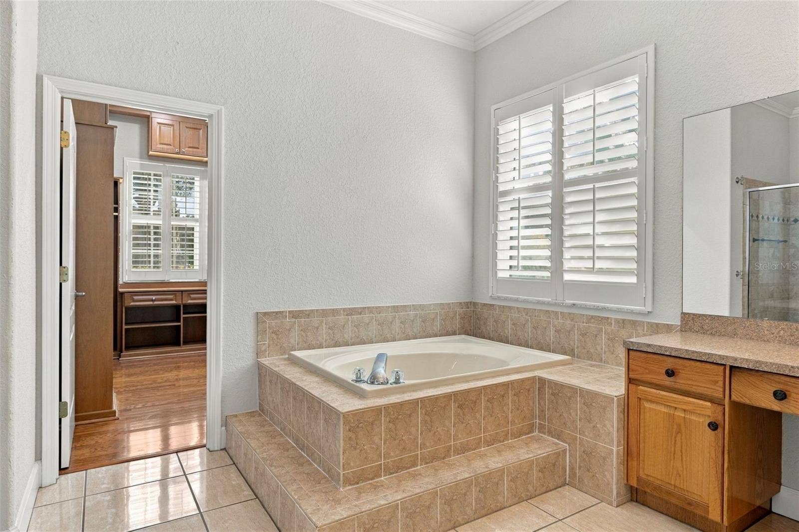 3916 VALRICO GROVE DRIVE, Valrico, FL 33594 Primary Bathroom En Suite with Deep Garden Tub! Plantation Shutters on all Windows! Energy Efficient Windows replaced in 2010