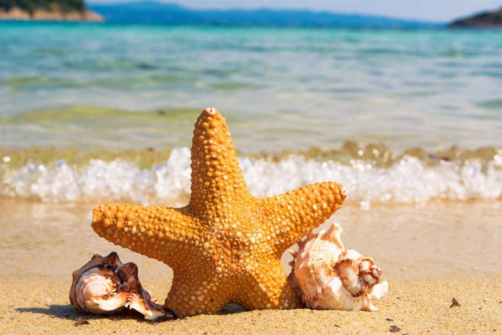 World renown beaches are only 45 minutes away.  Come and feel the sand between your toes.