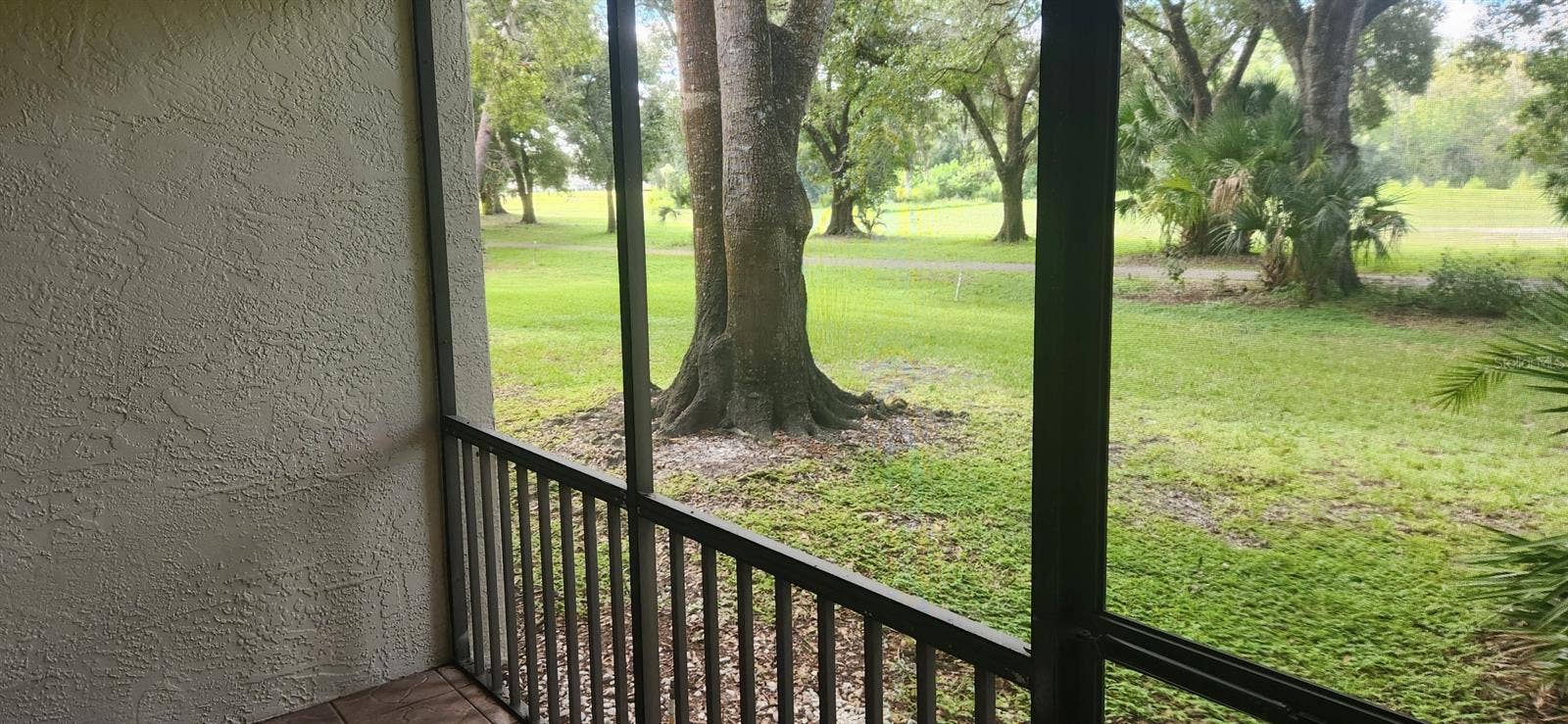 3505 TARPON WOODS BOULEVARD, #H405, Palm Harbor, FL 34685