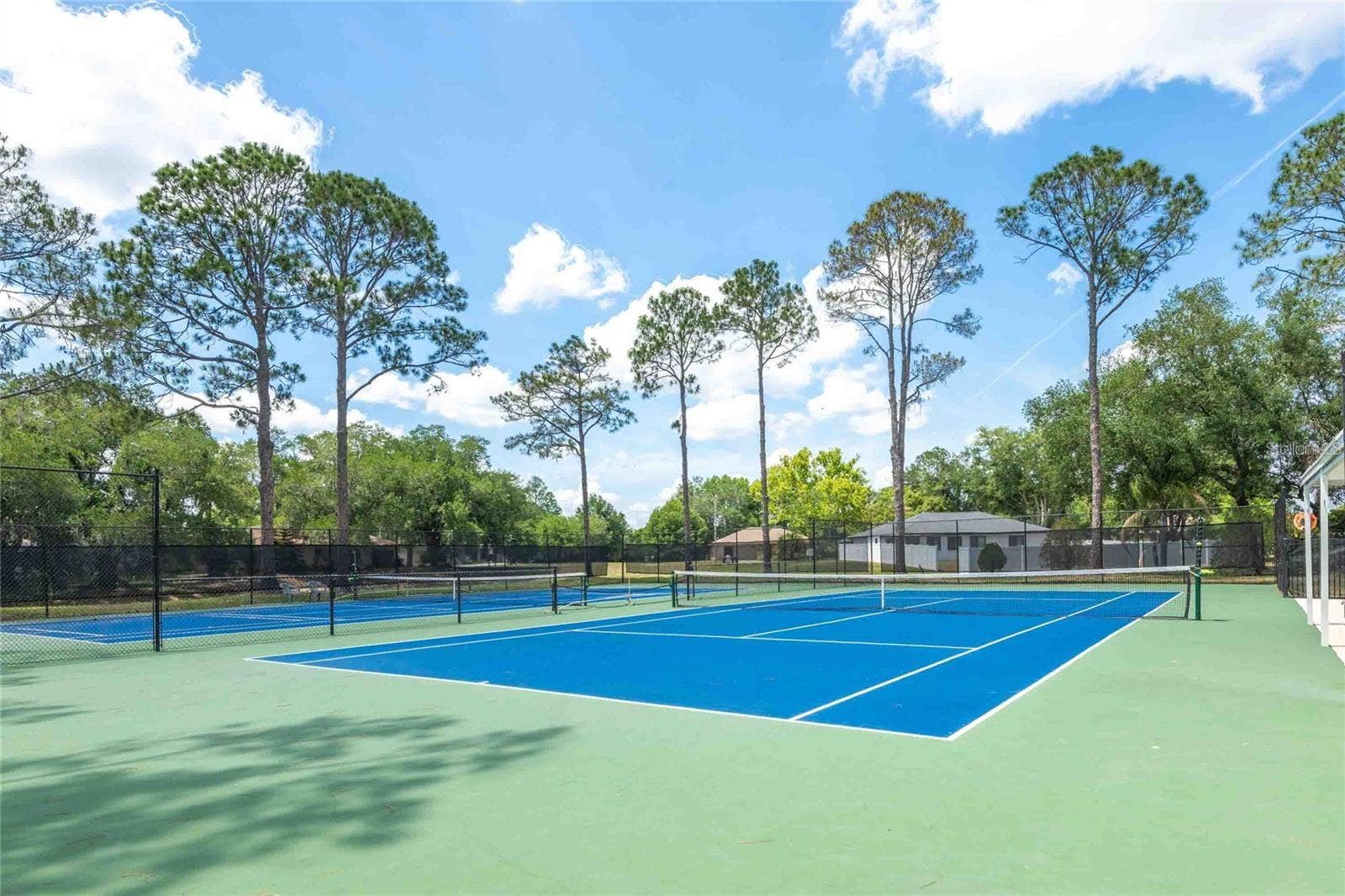 1836 TAMPA BAY DRIVE, Wesley Chapel, FL 33543 1836 TAMPA BAY DRIVE, Wesley Chapel, FL 33543