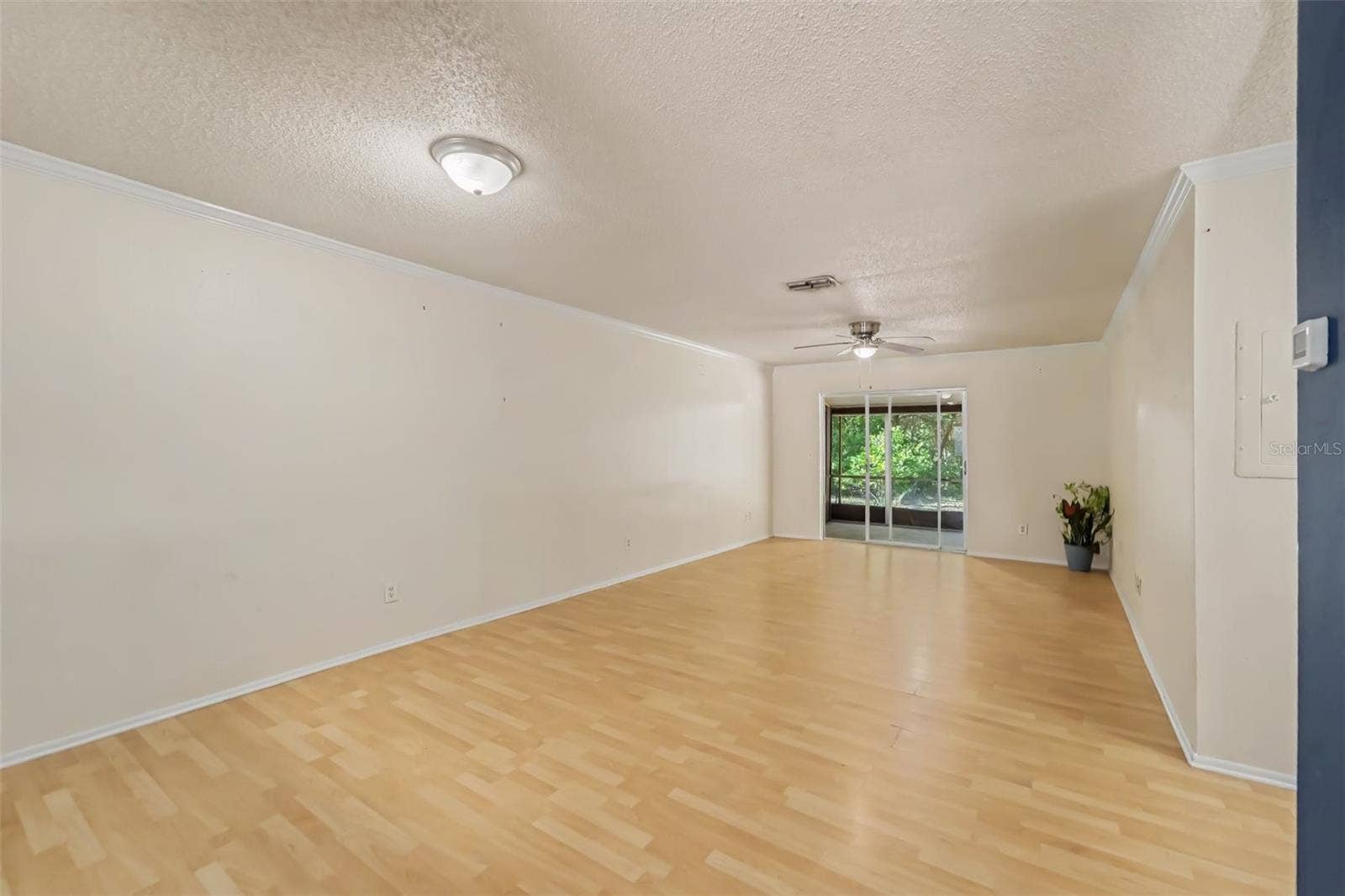 1443 & 1445 GILES AVENUE, Spring Hill, FL 34608 1443 & 1445 GILES AVENUE, Spring Hill, FL 34608