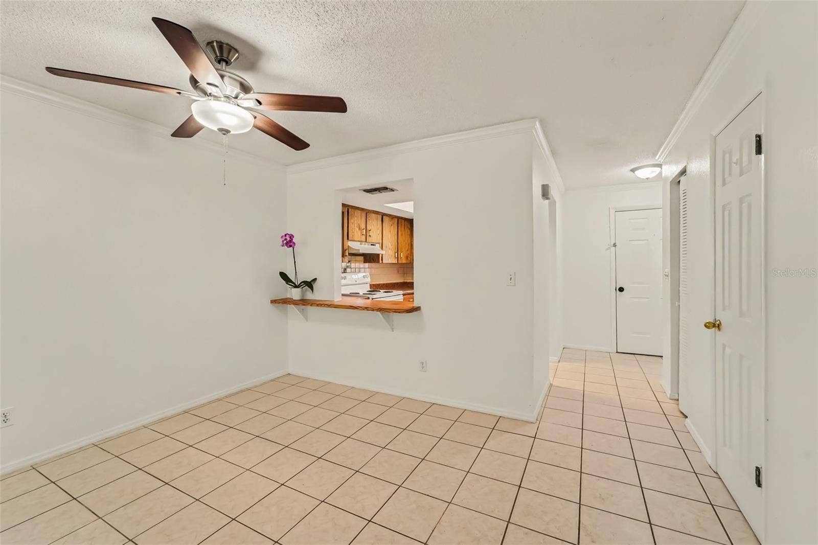 1443 & 1445 GILES AVENUE, Spring Hill, FL 34608 1443 & 1445 GILES AVENUE, Spring Hill, FL 34608