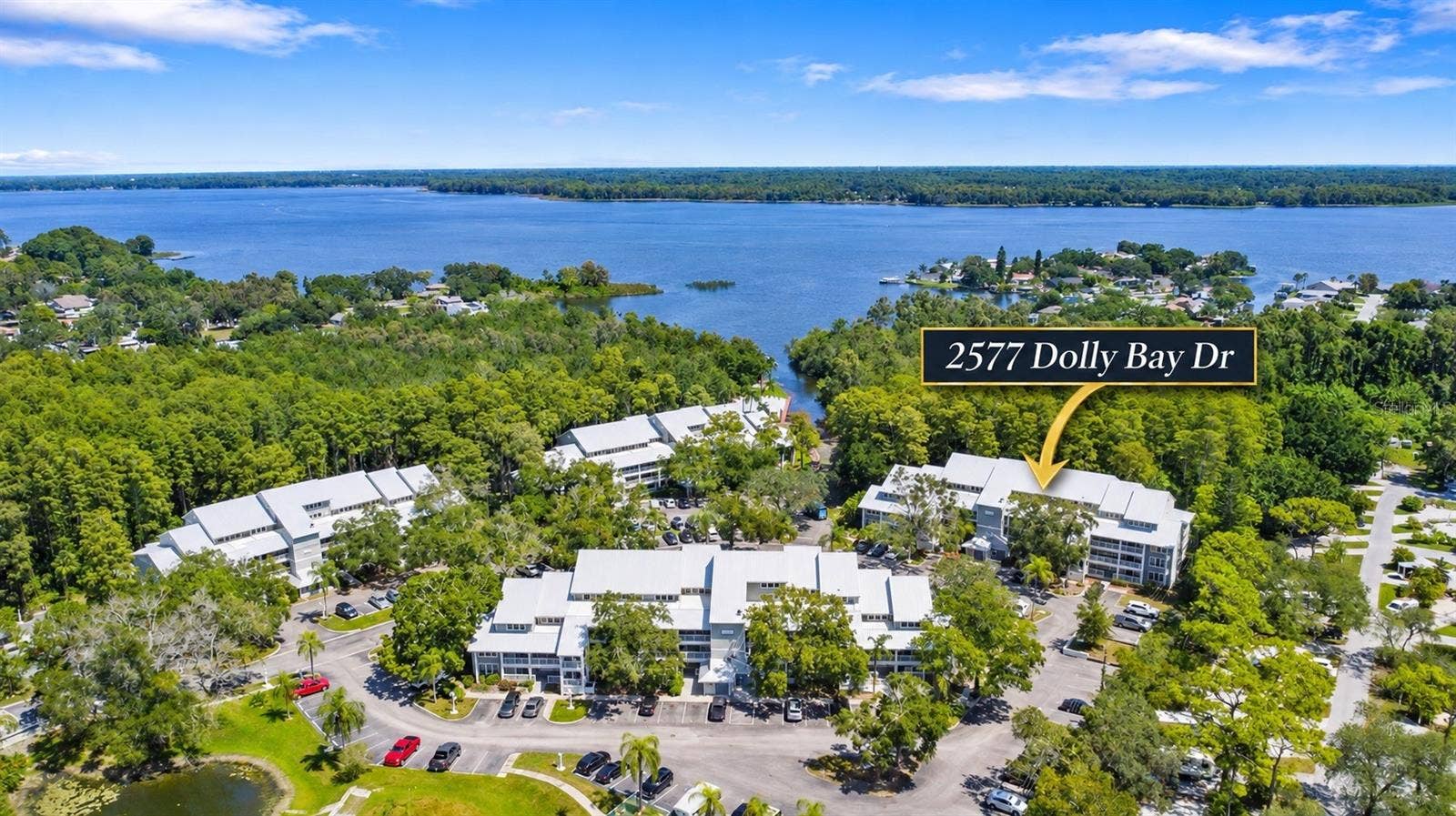 2577 DOLLY BAY DRIVE, #205, Palm Harbor, FL 34684 2577 DOLLY BAY DRIVE, #205, Palm Harbor, FL 34684