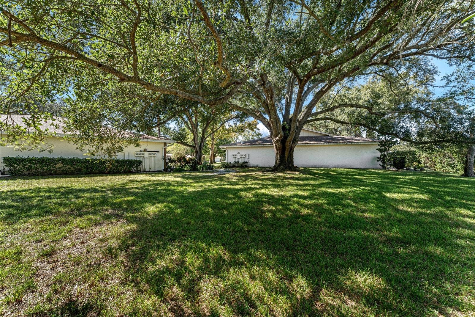 2297 E LARK CIRCLE E, #D, Palm Harbor, FL 34684 2297 E LARK CIRCLE E, #D, Palm Harbor, FL 34684