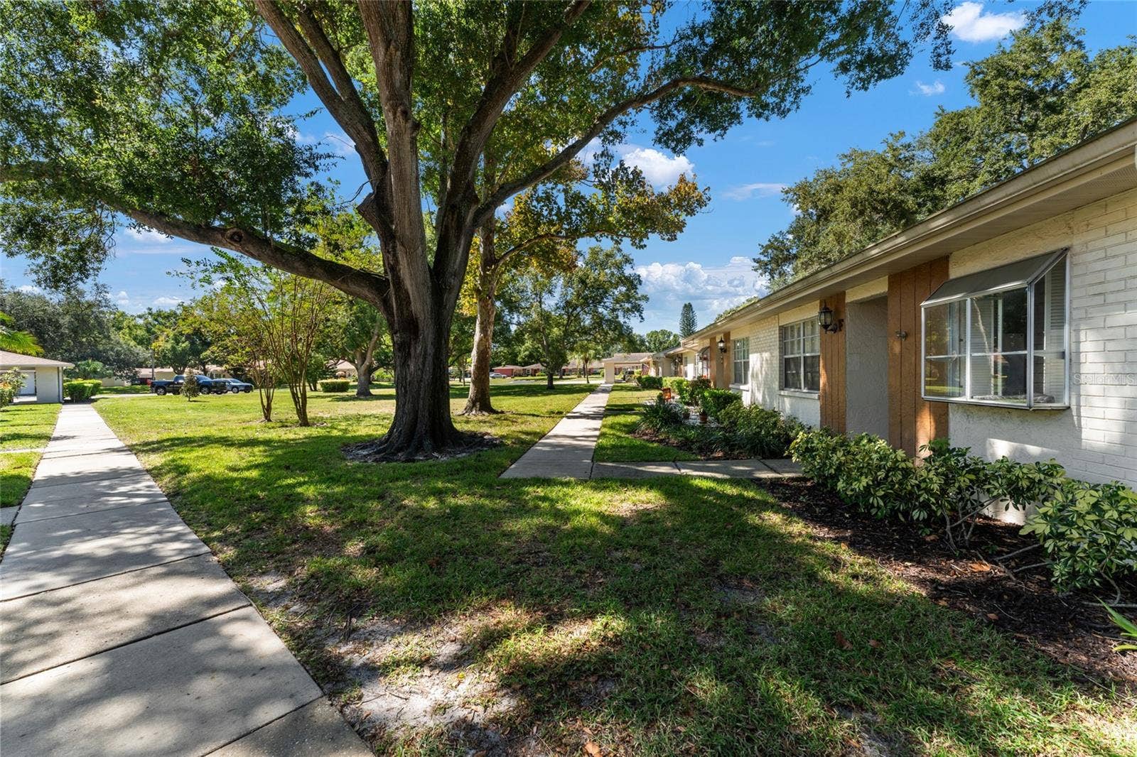 2297 E LARK CIRCLE E, #D, Palm Harbor, FL 34684 2297 E LARK CIRCLE E, #D, Palm Harbor, FL 34684
