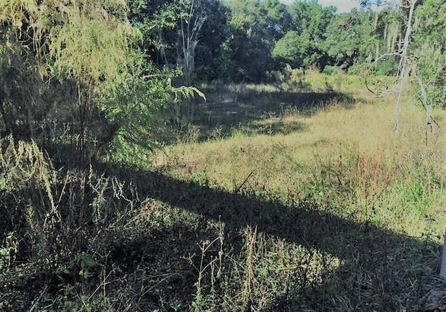 Property photo for 14250 SE 100TH AVENUE, Summerfield, FL
