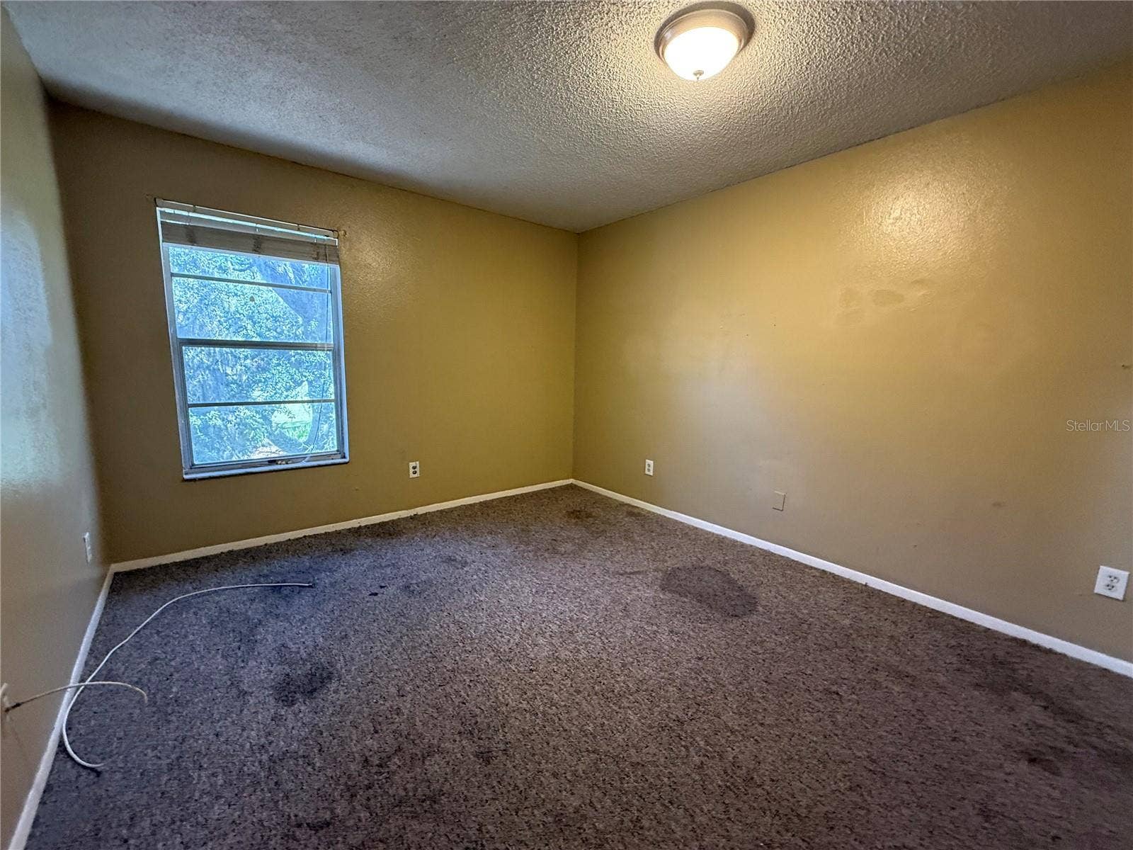 4023 DREAM OAK PLACE, #204, Tampa, FL 33613 4023 DREAM OAK PLACE, #204, Tampa, FL 33613