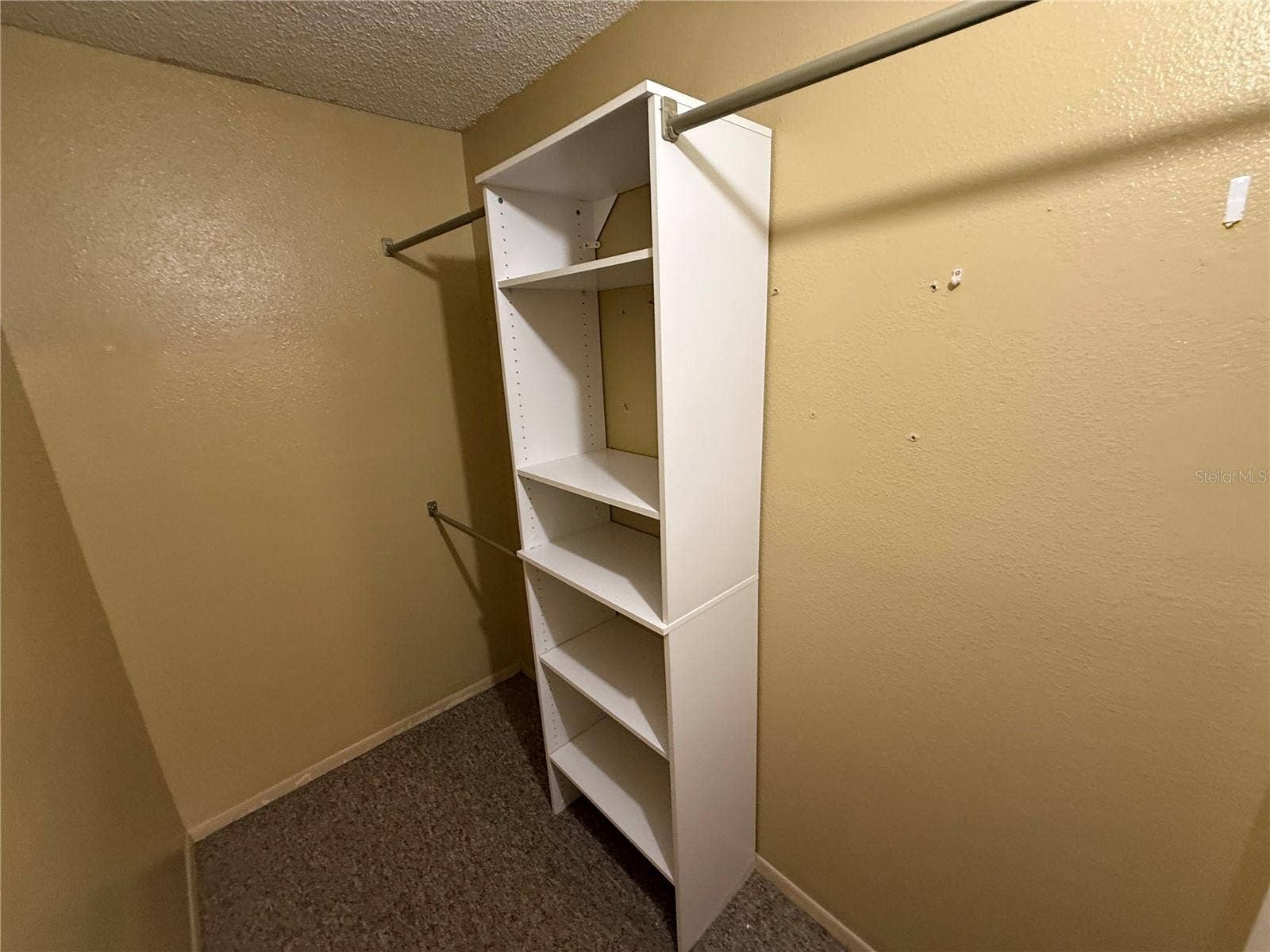 4023 DREAM OAK PLACE, #204, Tampa, FL 33613 4023 DREAM OAK PLACE, #204, Tampa, FL 33613