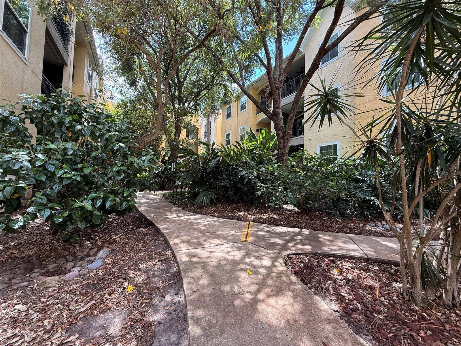 1810 E PALM AVENUE, #1202, Tampa, FL 33605 1810 E PALM AVENUE, #1202, Tampa, FL 33605