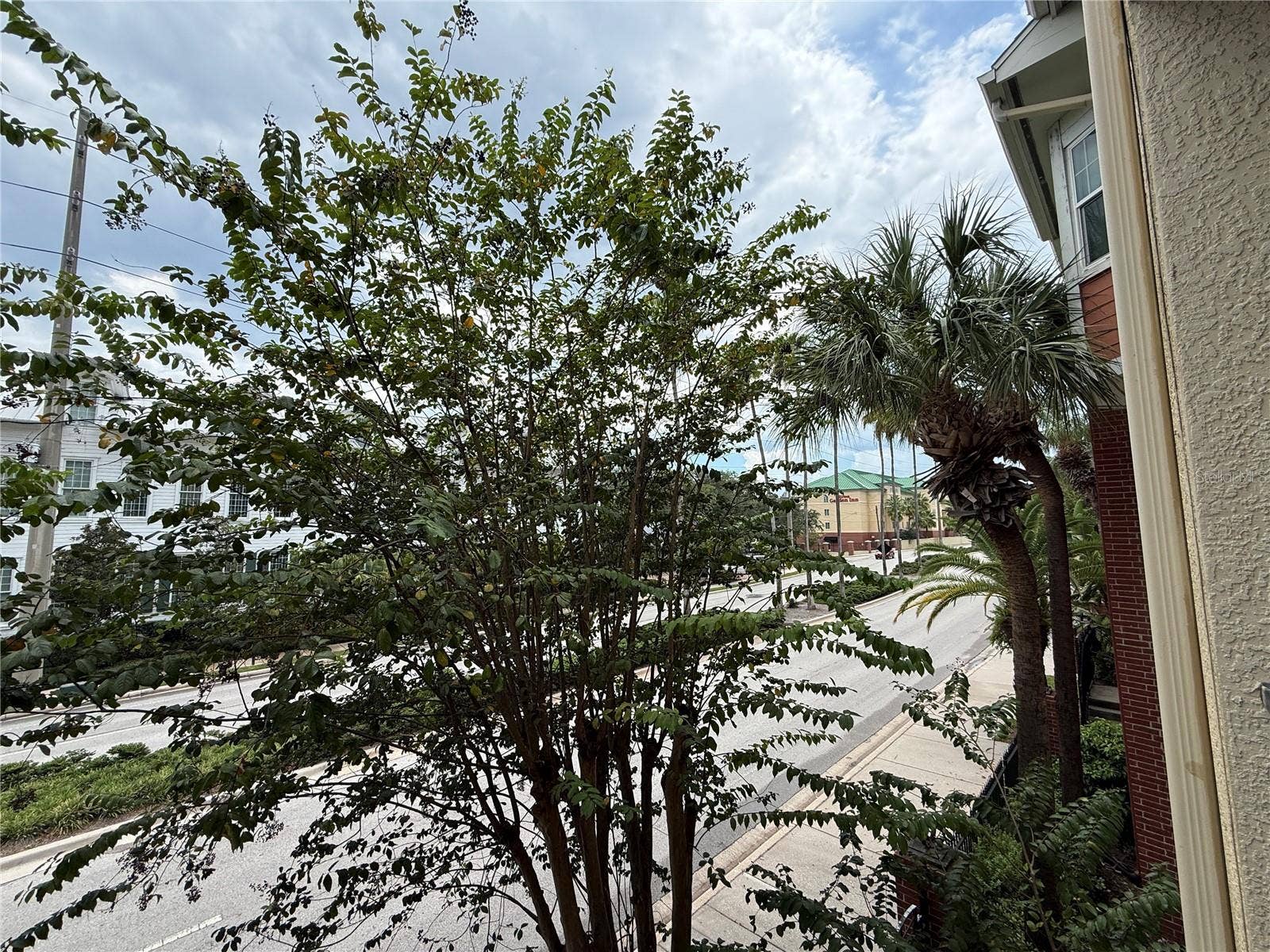 1810 E PALM AVENUE, #1202, Tampa, FL 33605 1810 E PALM AVENUE, #1202, Tampa, FL 33605