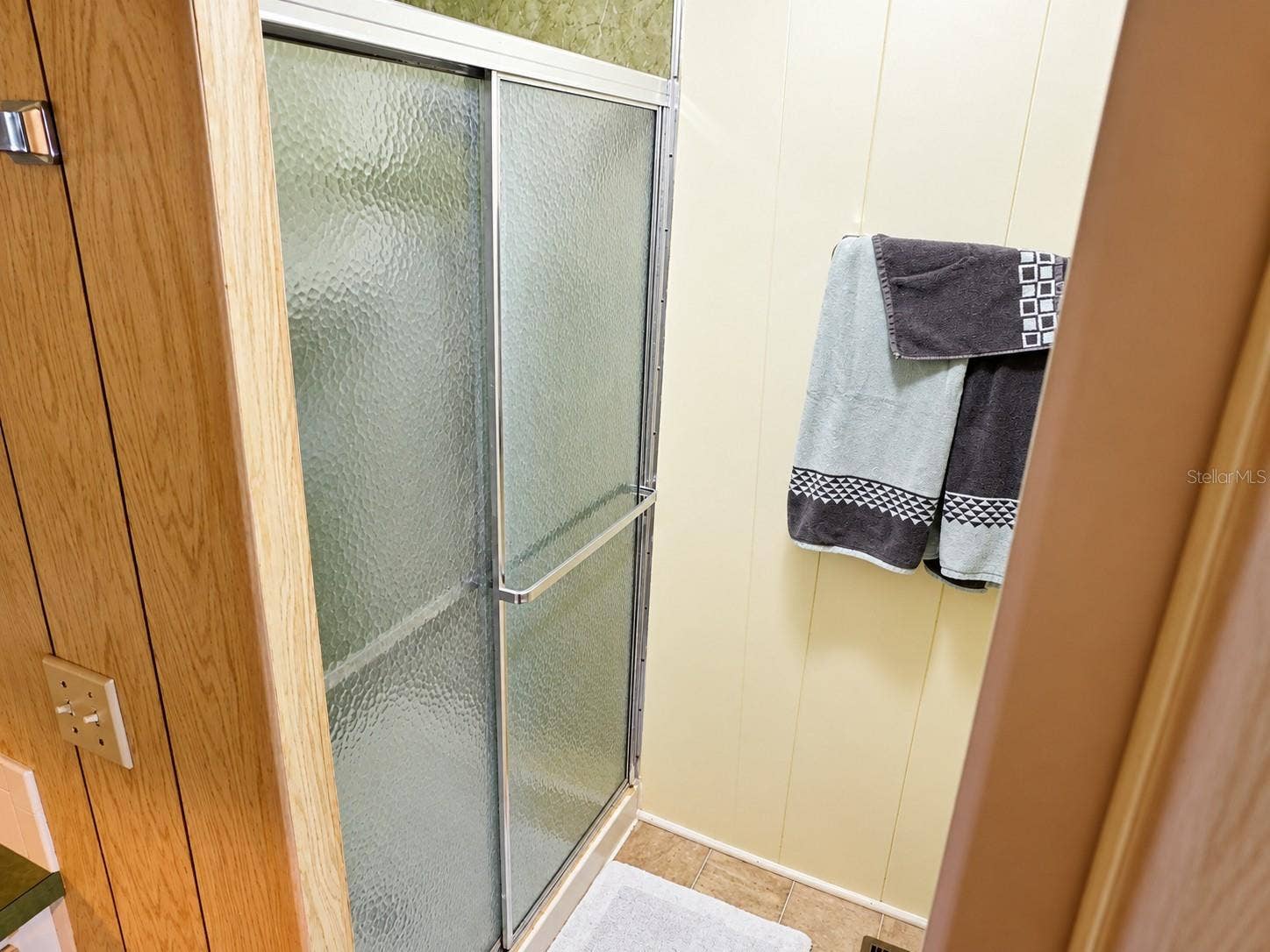 4611 OLIVE DRIVE, Zephyrhills, FL 33542 Step-in shower in primary.