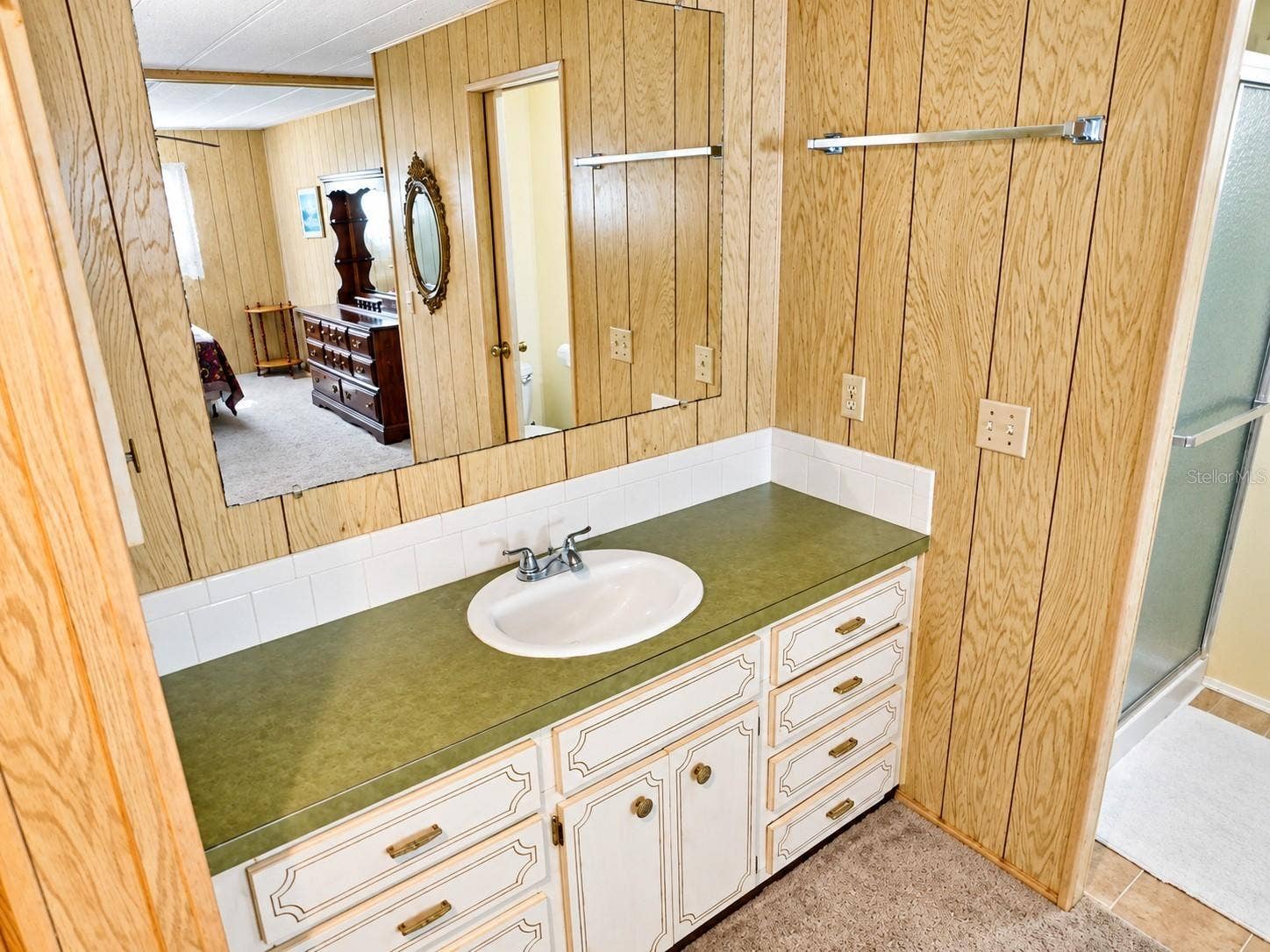 4611 OLIVE DRIVE, Zephyrhills, FL 33542 Primary bathroom.