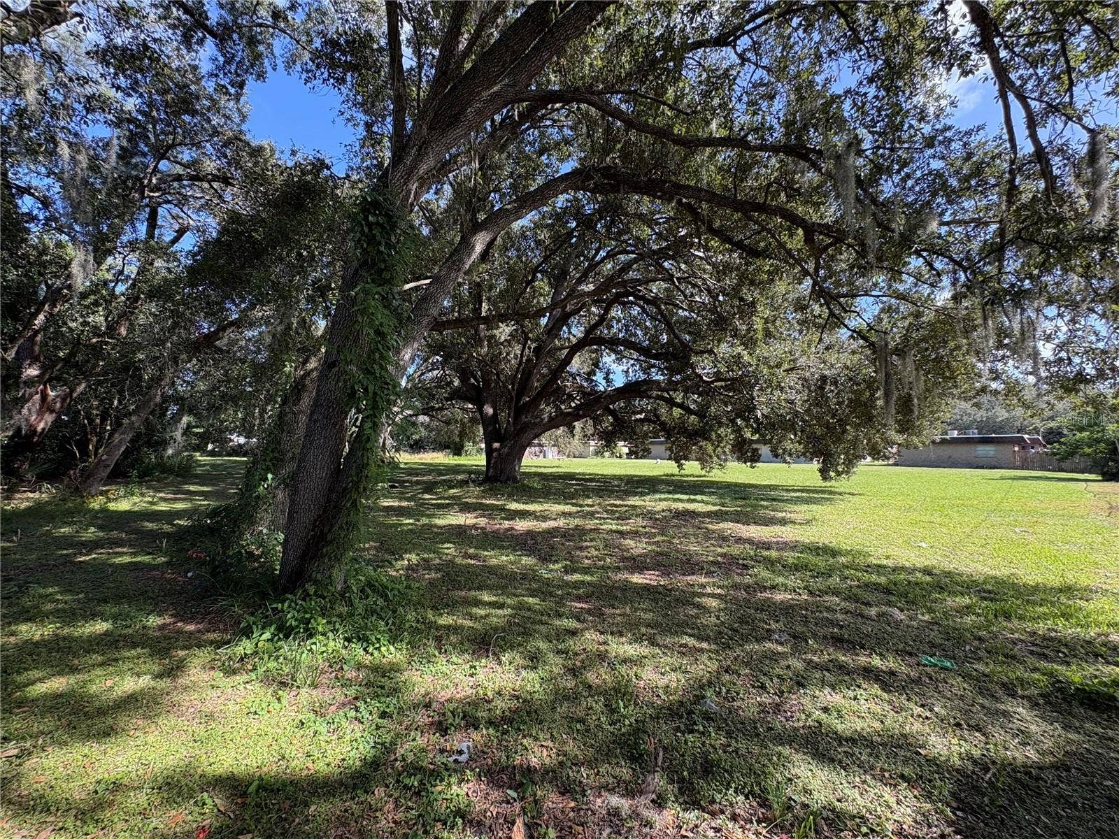 1116 E 142ND AVENUE, Tampa, FL 33613 1116 E 142ND AVENUE, Tampa, FL 33613