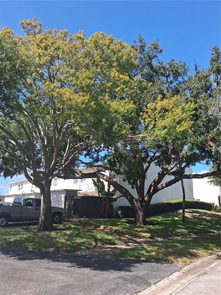 4310 LA MORA COURT, Tampa, FL 33611 4310 LA MORA COURT, Tampa, FL 33611