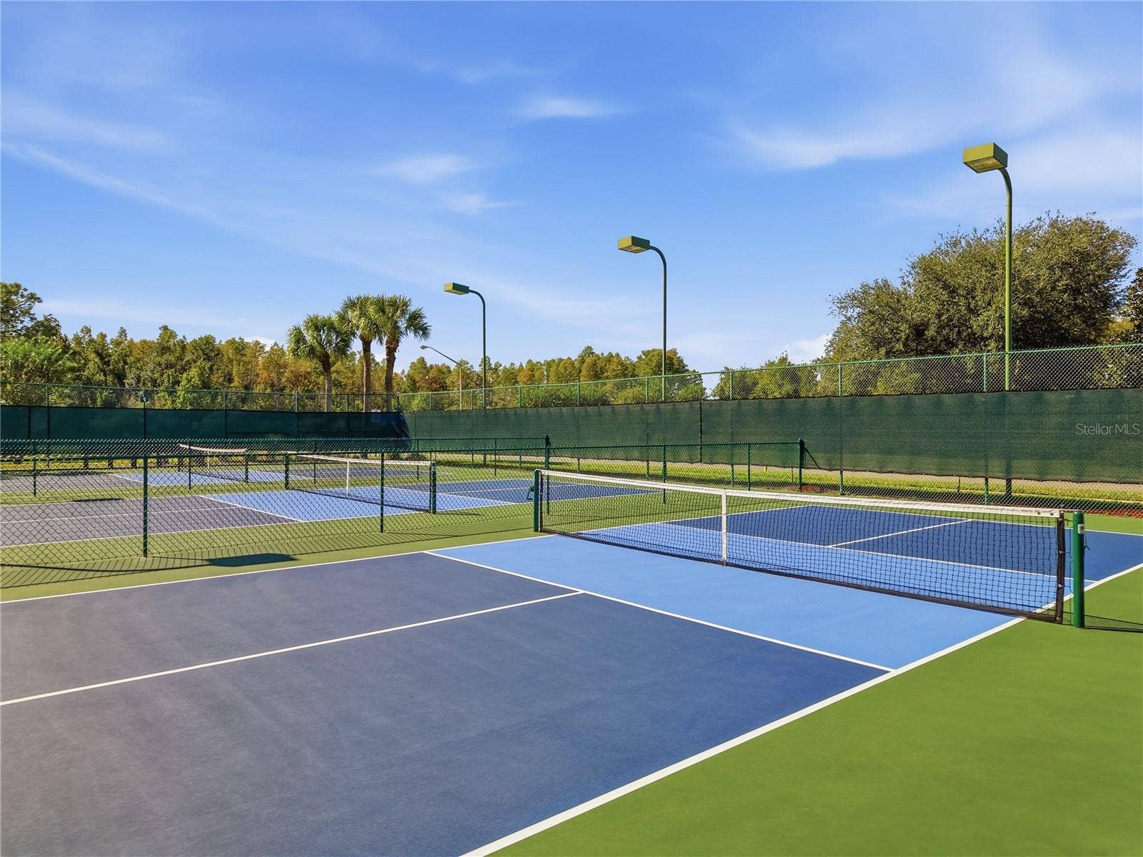 7451 TROVITA ROAD, Land O Lakes, FL 34637