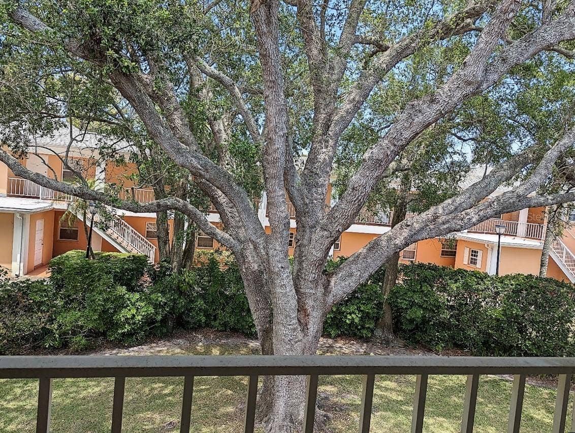 8304 BARDMOOR BOULEVARD, #203 (22), Seminole, FL 33777