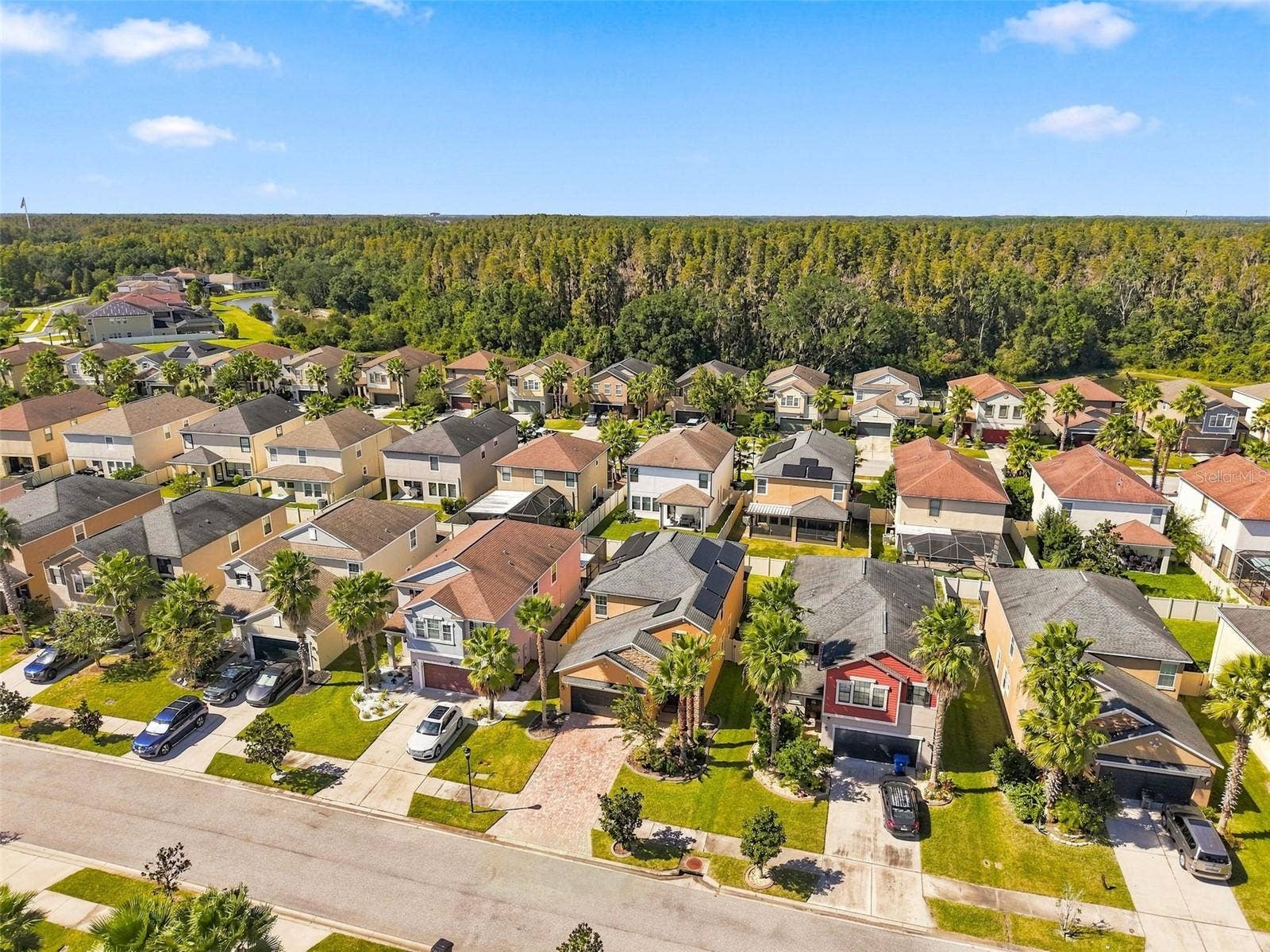 1573 TALLULAH TERRACE, Wesley Chapel, FL 33543 Aerial View