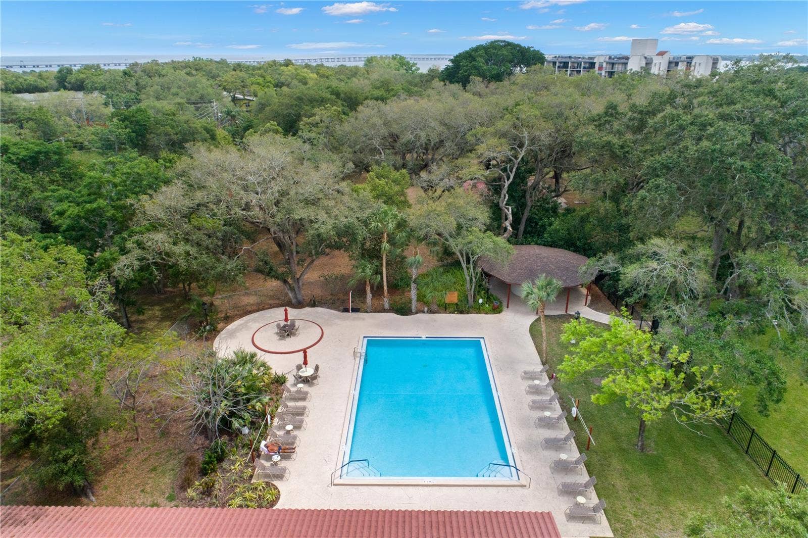 1001 PEARCE DRIVE, #302, Clearwater, FL 33764