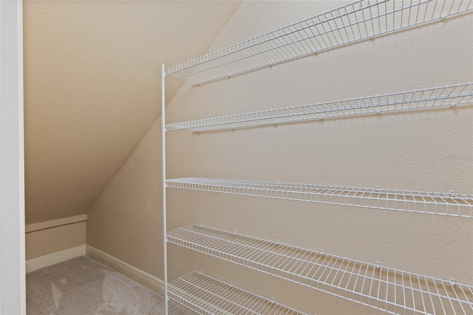 2495 JOHNNA COURT, Palm Harbor, FL 34685 Closet Under Stairway
