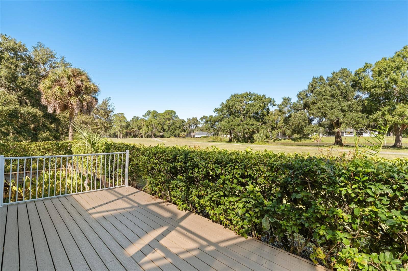 2495 JOHNNA COURT, Palm Harbor, FL 34685 Area Behind Back Porch