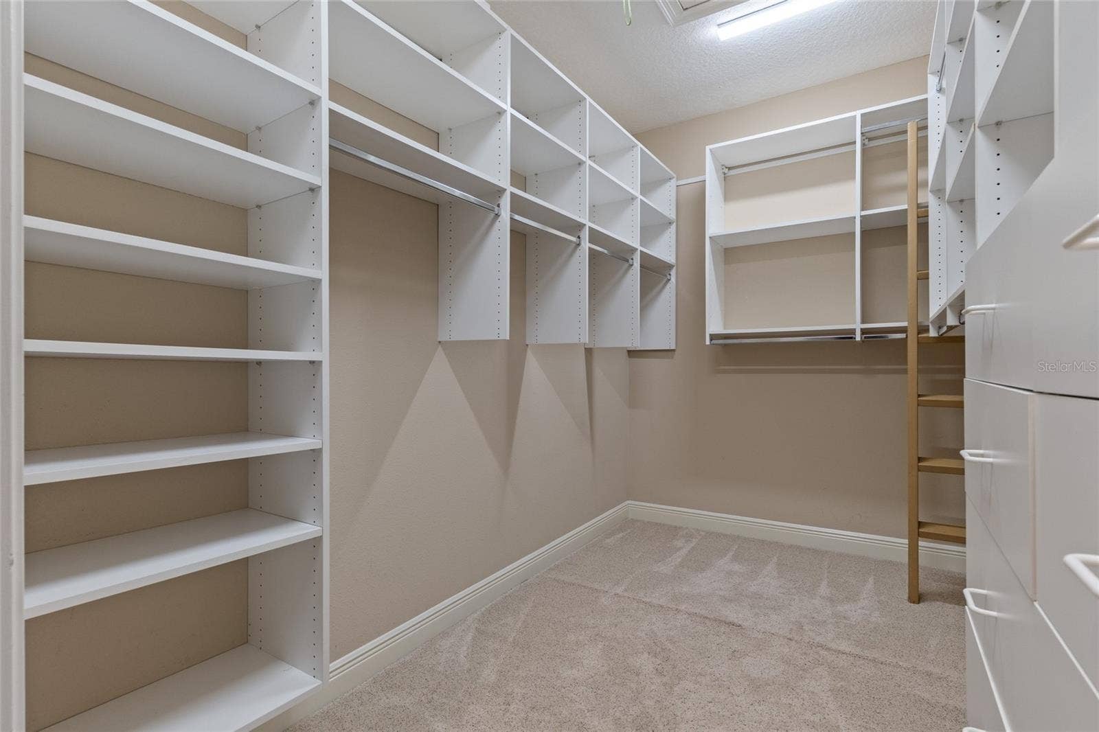 2495 JOHNNA COURT, Palm Harbor, FL 34685 Primary Bedroom Walk-In Closet