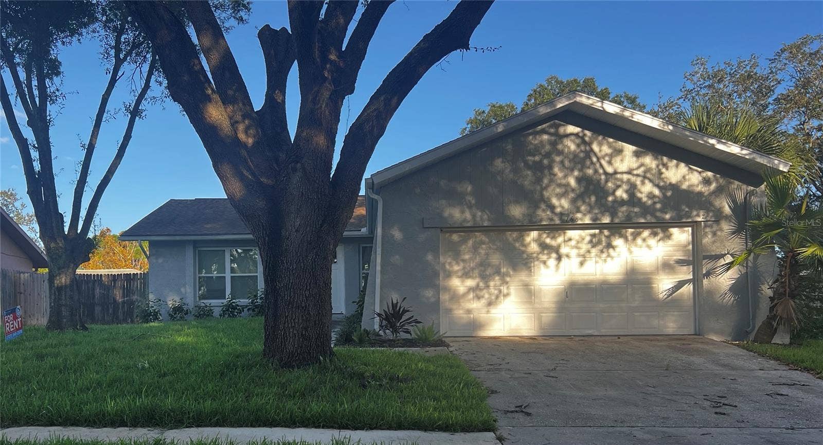 768 16TH STREET, Palm Harbor, FL 34683 768 16TH STREET, Palm Harbor, FL 34683