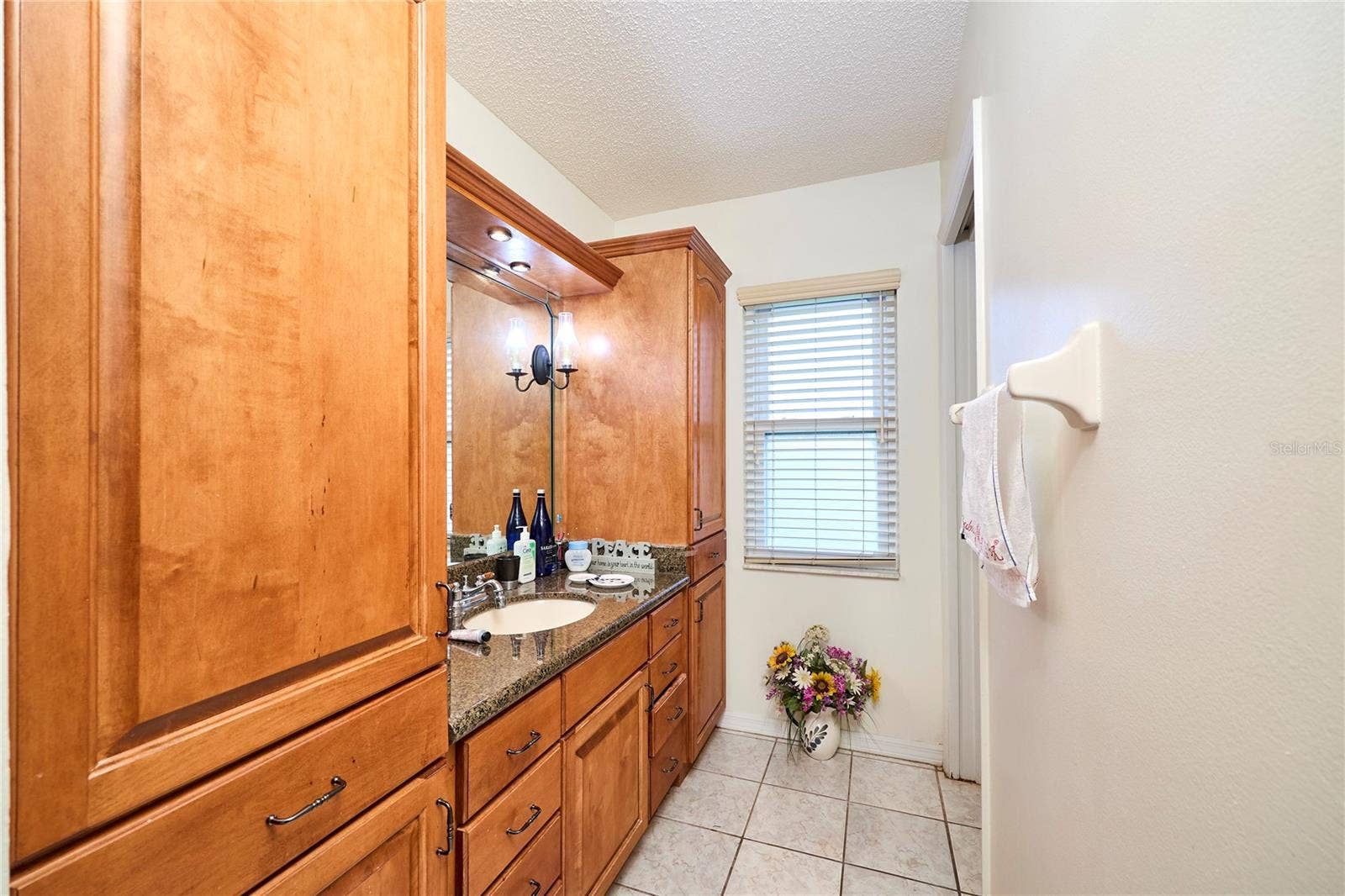 311 THORN HILL PLACE, Sun City Center, FL 33573 311 THORN HILL PLACE, Sun City Center, FL 33573