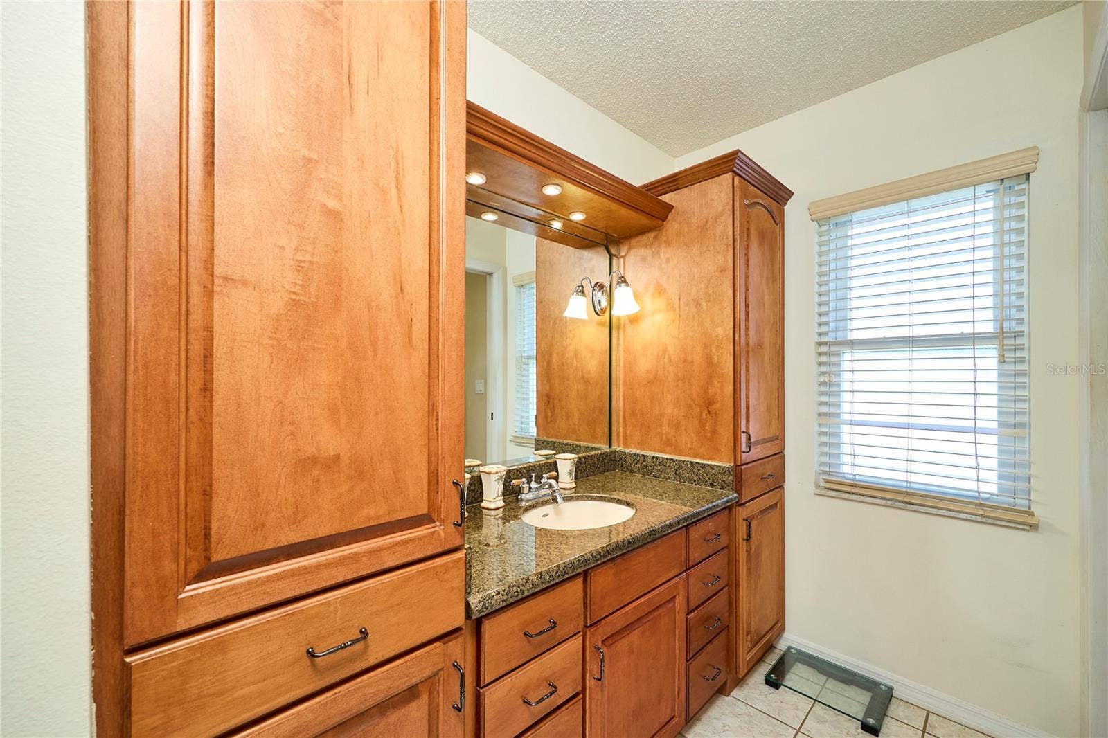 311 THORN HILL PLACE, Sun City Center, FL 33573 311 THORN HILL PLACE, Sun City Center, FL 33573