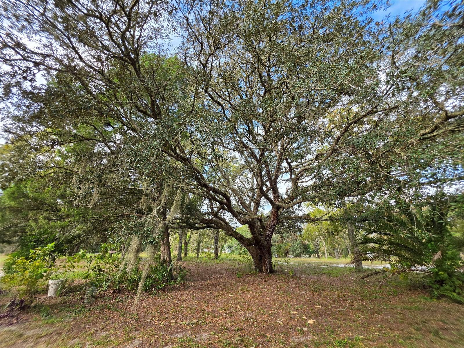 9170 ORCHARD WAY, Spring Hill, FL 34608 9170 ORCHARD WAY, Spring Hill, FL 34608