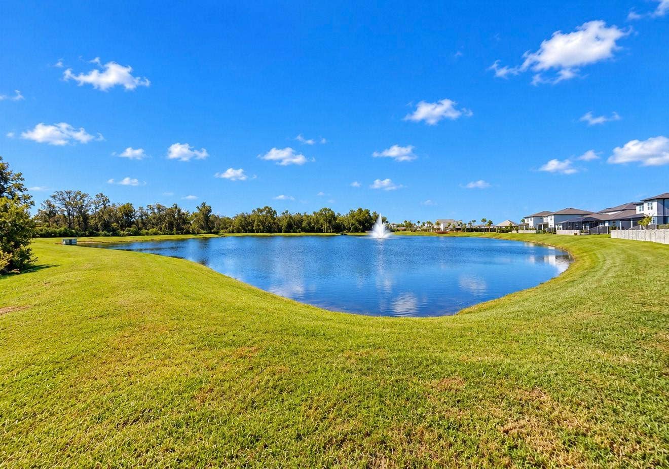 6936 DEPUE DRIVE, Wesley Chapel, FL 33545 6936 DEPUE DRIVE, Wesley Chapel, FL 33545