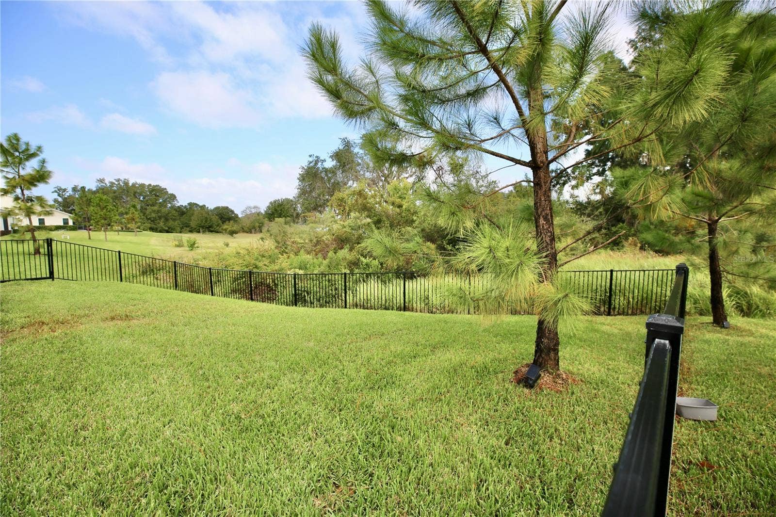 19792 AUGUSTA PRESERVE DRIVE, Lutz, FL 33549 19792 AUGUSTA PRESERVE DRIVE, Lutz, FL 33549