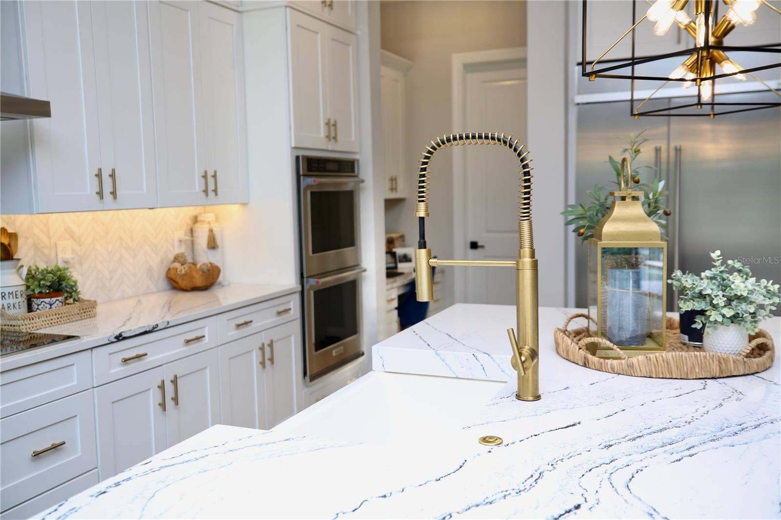 19792 AUGUSTA PRESERVE DRIVE, Lutz, FL 33549 19792 AUGUSTA PRESERVE DRIVE, Lutz, FL 33549