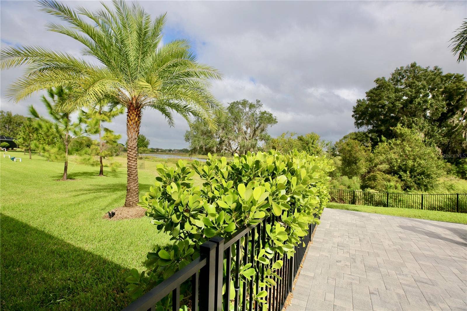 19792 AUGUSTA PRESERVE DRIVE, Lutz, FL 33549 19792 AUGUSTA PRESERVE DRIVE, Lutz, FL 33549