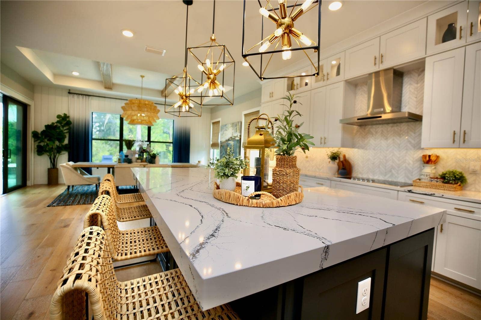19792 AUGUSTA PRESERVE DRIVE, Lutz, FL 33549 19792 AUGUSTA PRESERVE DRIVE, Lutz, FL 33549