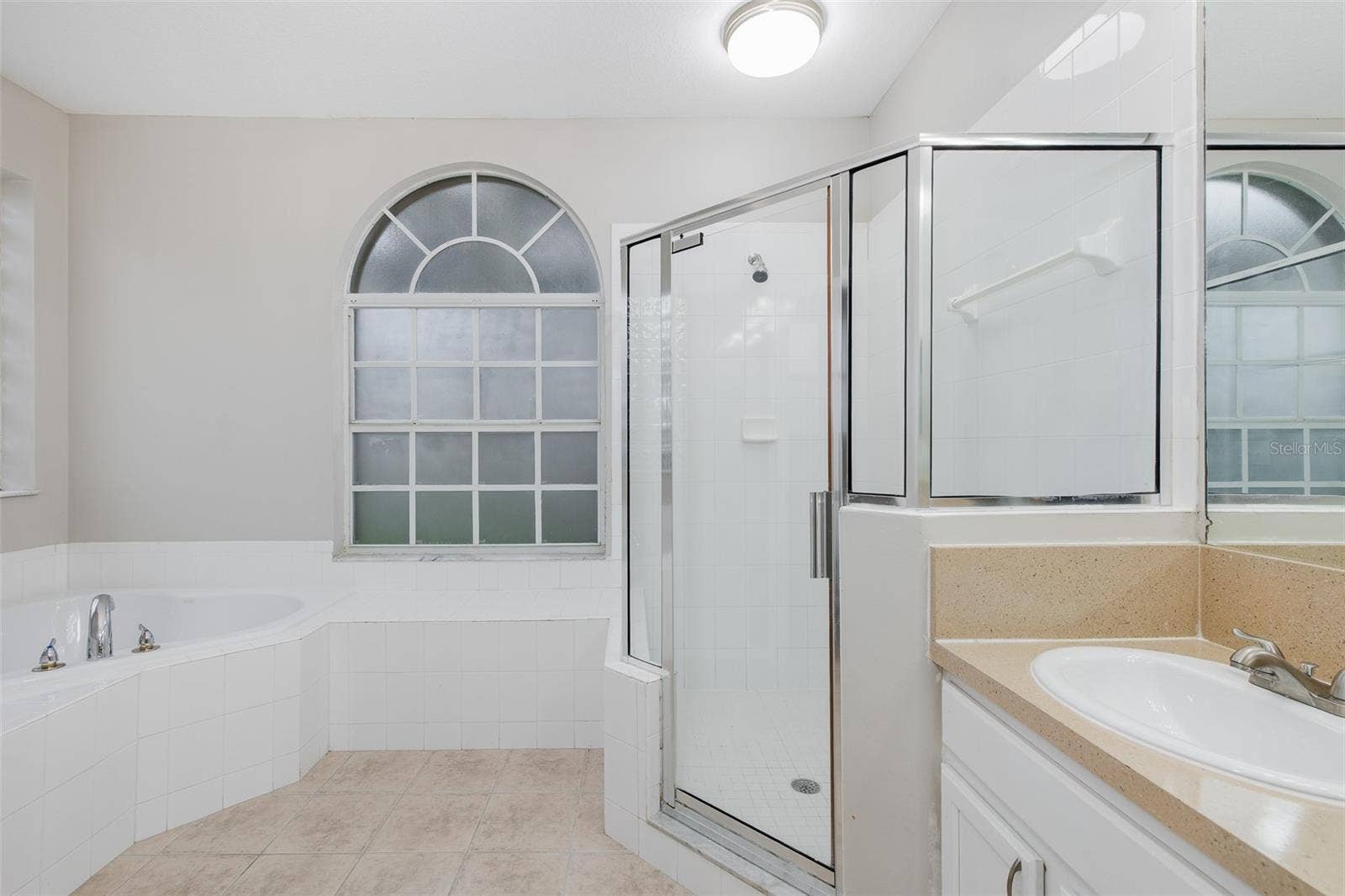19103 DOVE CREEK DRIVE, Tampa, FL 33647 Primary bathroom