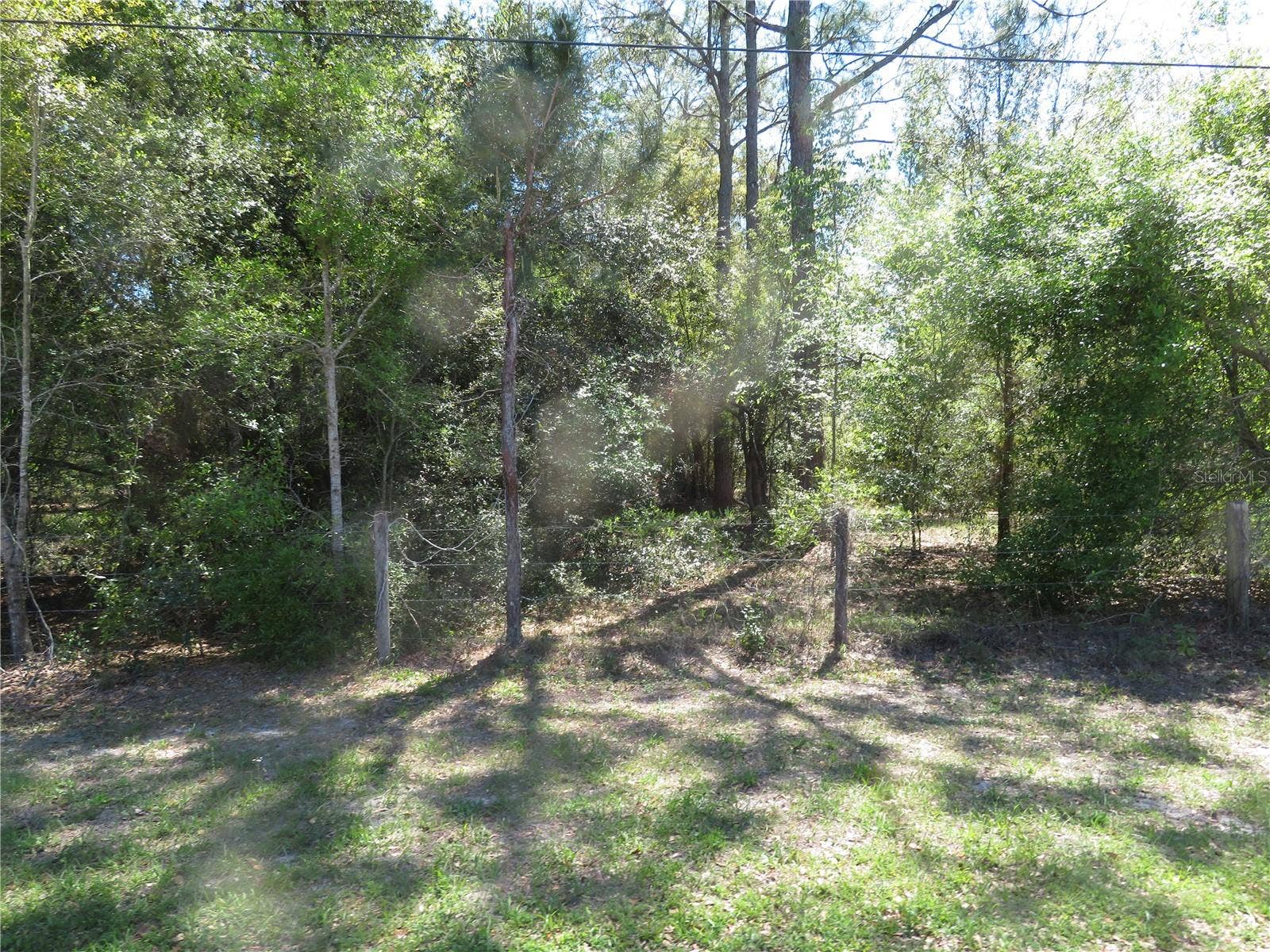 FLORID AVENUE, San Antonio, FL 33576