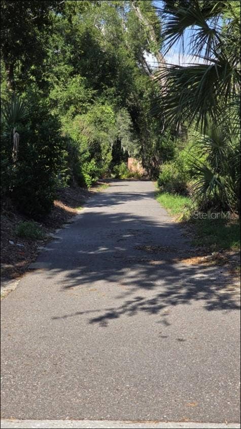 807 S KINGS AVENUE, Brandon, FL 33511 Driveway to back 2 lots