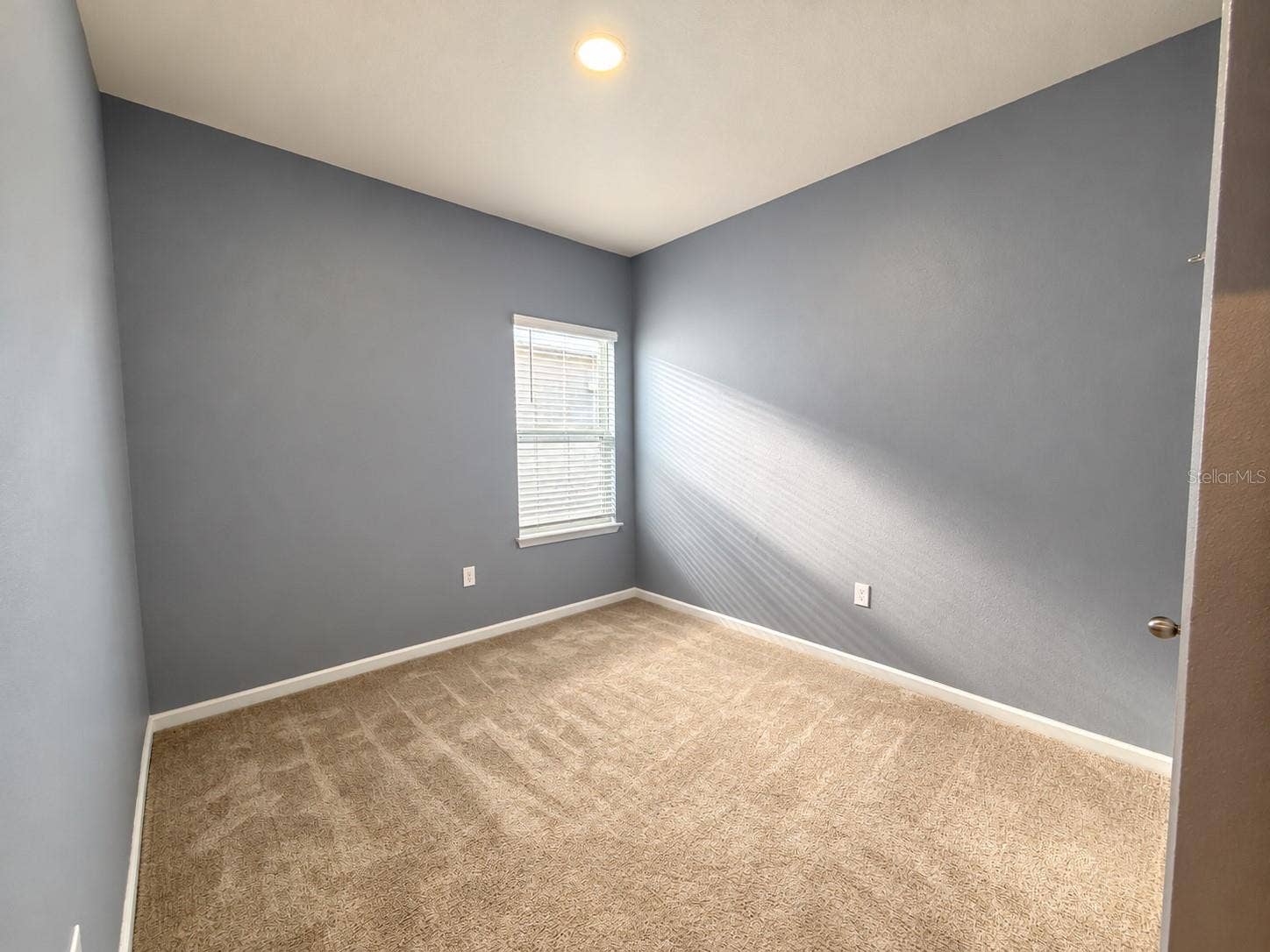 29307 MEADOWCROFT AVENUE, Wesley Chapel, FL 33544