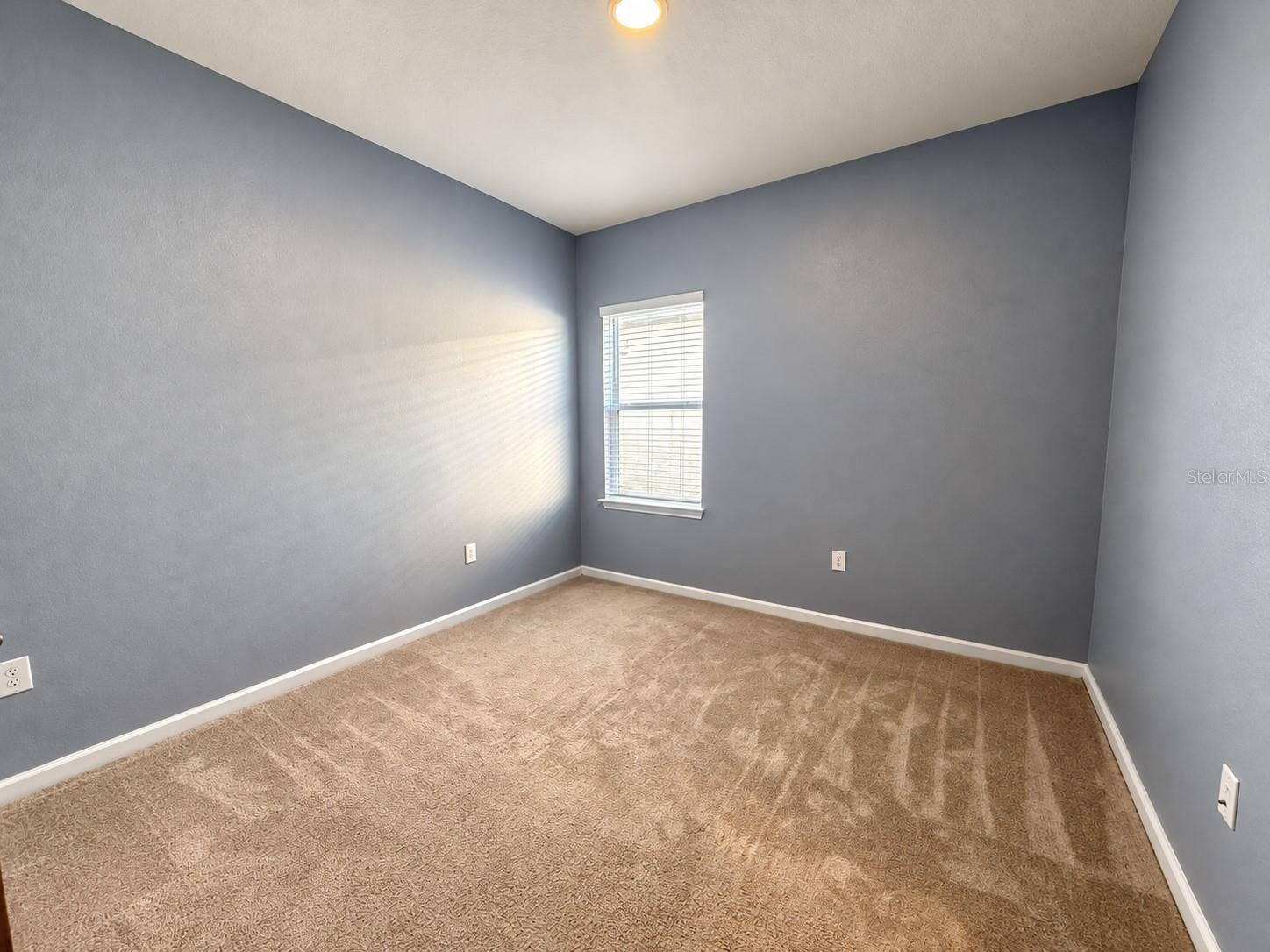 29307 MEADOWCROFT AVENUE, Wesley Chapel, FL 33544