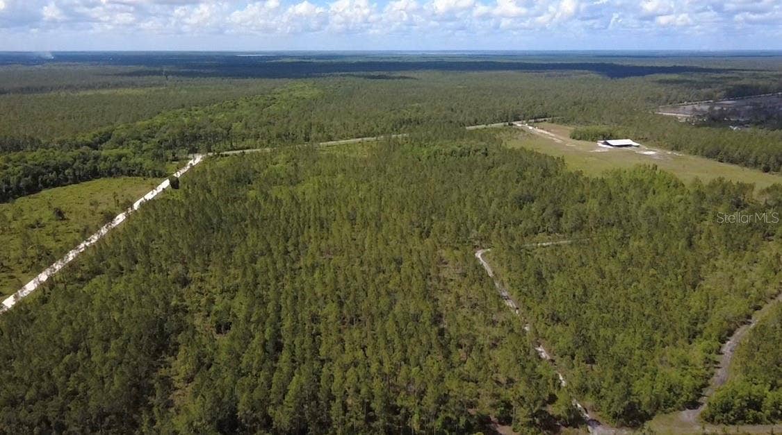 WILD CUR ROAD, Pierson, FL 32180