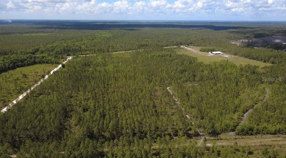 WILD CUR ROAD, Pierson, FL 32180