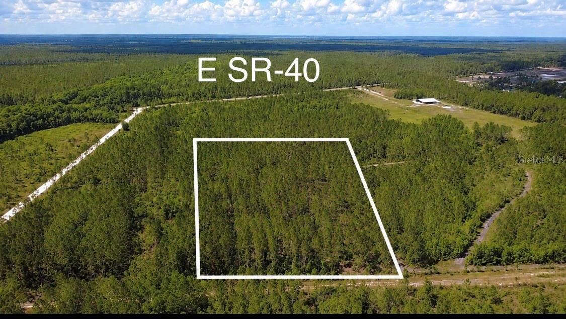 WILD CUR ROAD, Pierson, FL 32180
