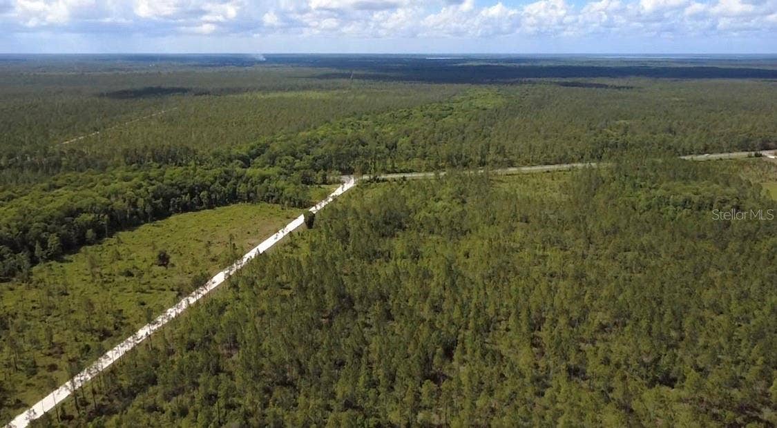 WILD CUR ROAD, Pierson, FL 32180
