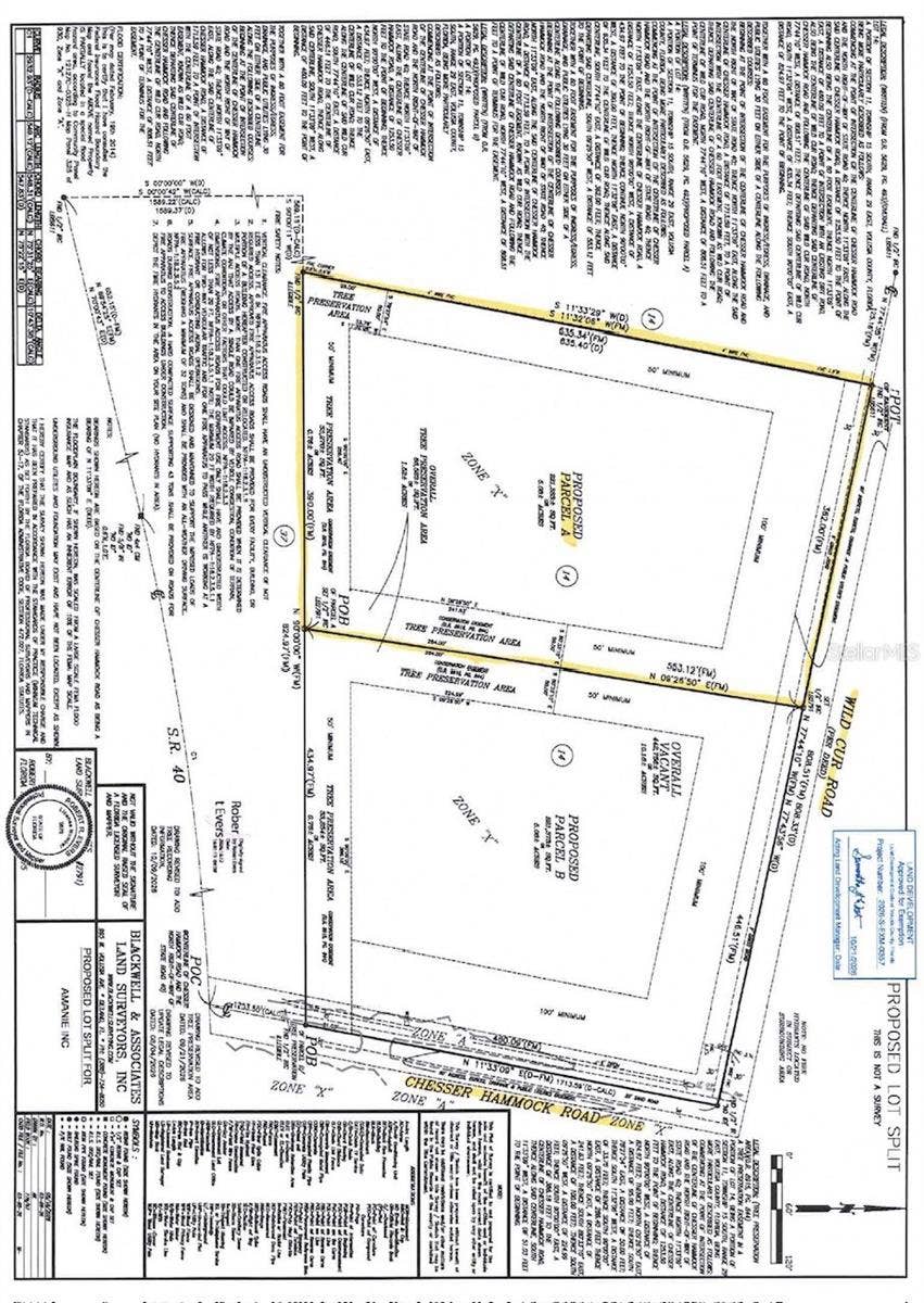 WILD CUR ROAD, Pierson, FL 32180